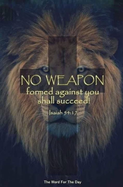 Lion Bible Verse, Lion Of Judah Jesus, Lion Quotes, Isaiah 54, Inspirational Quotes God, Warrior Quotes, Prayer Scriptures, Inspirational Bible Quotes, Bible Verses Quotes Inspirational