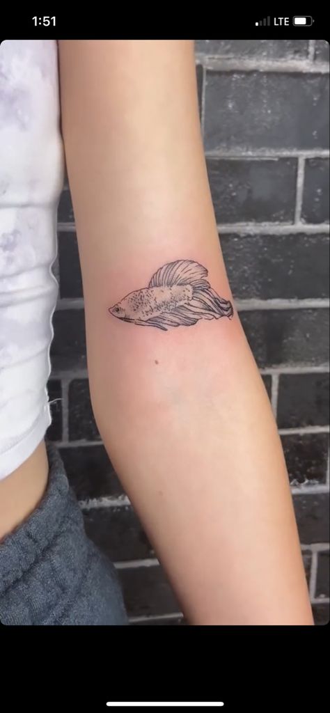 Berta Fish Tattoo, Cuddle Fish Tattoo, Beta Fish Tattoo Design, Beta Fish Tattoos, Aquarium Tattoo, Beta Fish Tattoo, Betta Tattoo, Betta Fish Tattoo, Clouds Tattoo