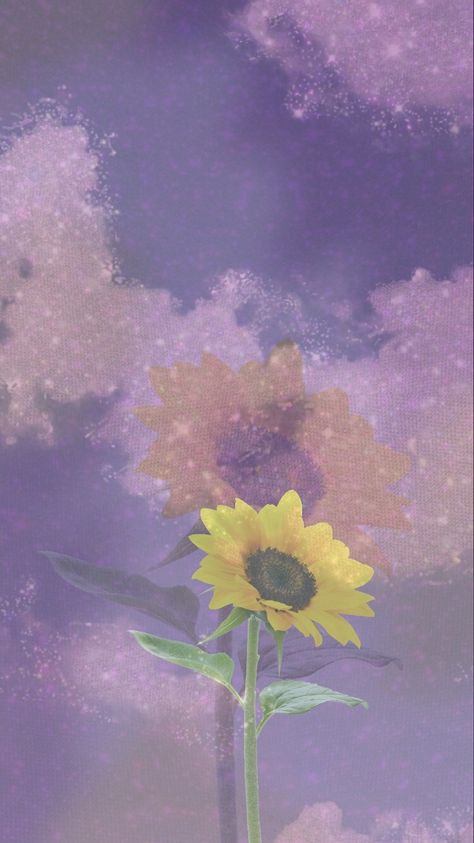 Dusty blue purple sunflower hippie outdoors Purple Sunflower Wallpaper, Aesthetic Sparkle, Sunflower Purple, Shiny Wallpaper, Purple Sunflower, Sunflower Iphone Wallpaper, Aesthetic Clouds, Disney Canvas Art, Red Roses Wallpaper