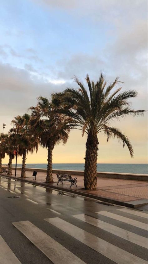 Malaga Beach, Palm Background, Spain Aesthetics, Spain Aesthetic, Malaga Spain, Vacation Pictures, Sunset Pictures, Summer Pictures, Spain Travel