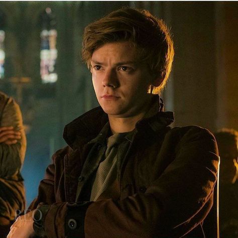 Newt X Reader, Maze Runner 1, Thomas Brodie Sangster Imagines, Crush Culture, Maze Runner Thomas, Maze Runner Trilogy, Nick Nelson, Newt Maze Runner, Maze Runner Movie