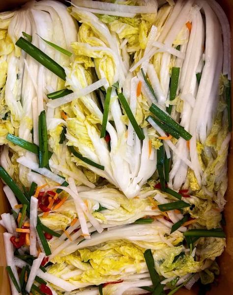 Baek kimchi or white kimchi Baek Kimchi Recipe, White Kimchi Recipe, Spicy Kimchi Recipe, White Kimchi, Kimchi Cabbage, Kimchi Recipes, Fried Rice With Egg, 2025 Goals, Sandwich Sides