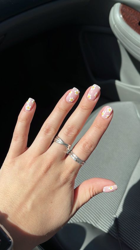 Soft Pink Nails With Flowers, Cute Oval Nails Design Simple, Daisy Gel Nails Short, Pretty Nails Flowers, Flower Simple Nail Art, Spring Nails White Flowers, Neutral Nails With White Flowers, Pink Daisy Nails Short, Simple Flower Nail Designs Short Nails