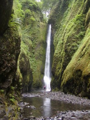 Lower Oneonta Falls - Hike through creek to get to falls Oregon Forest, Oregon Hikes, Explore Oregon, Oregon Photography, Oregon Waterfalls, Oregon Road Trip, Evergreen Forest, Oregon Washington, Fall Hiking