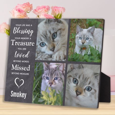 Memorial Frame Ideas, Losing A Cat, Cat Memorial Ideas, Memories Quote, Pet Loss Cat, Sympathy Thank You Cards, Change Photo, Cat Memorial Gift, Dog Remembrance