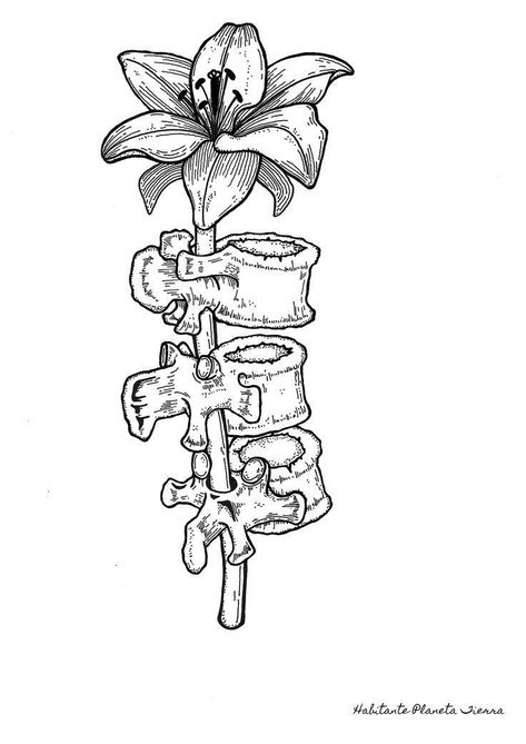 Bones With Flowers Drawing, Bones And Flowers Drawing, Chiropractor Tattoo, Bone And Flower Tattoo, Bone Flower Tattoo, Vertebrae Tattoo, Nature Themed Tattoos, Darkside Tattoo, Anatomy Tattoo