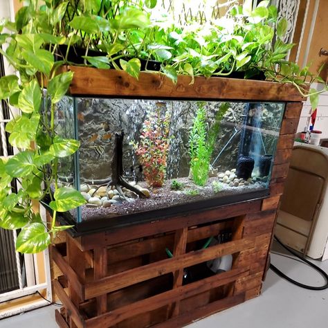 Diy Fishtank Stands, Fish Tank Shelves, Fishtank Stands Ideas, Fishtank Stands, Fish Tank Stand Ideas Diy, Fish Tank Stand Ideas, Diy Fish Tank Stand, Aquarium Stand Ideas, Fish Tank Shelf