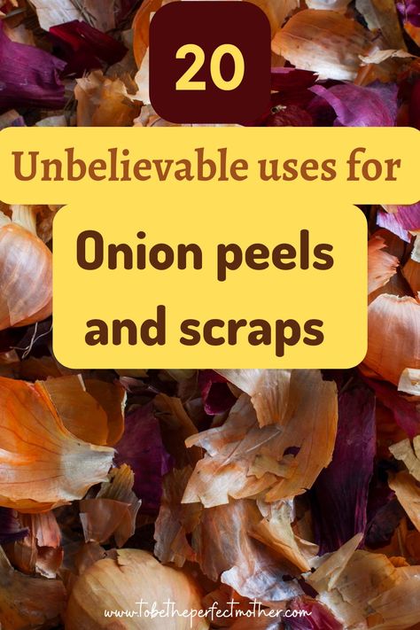 20 unbelievable uses for onion peels and onion scraps Onion Peel Fertilizer, Onion Poultice, Reduce Inflammation Natural Remedies, Scrappy Cooking, Southern Gardening, Onion Peel, Onion Benefits, Diy Seasonings, Onion Benefits Health