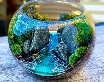 Resin Terrarium, Water Terrarium, Orchid Terrarium, Build A Terrarium, Pond Decorations, Resin Water, Terrarium Bowls, Miniature Terrarium, Terrarium Ideas