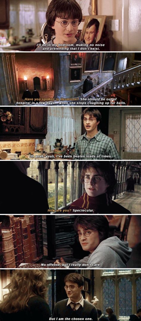 Sassy Harry Potter Sassy Harry Potter, Harry Potter Quotes Funny, Funny Harry Potter, Funny Life Lessons, Funny Memes About Life, The Goblet Of Fire, Harry Potter Headcannons, Goblet Of Fire, Harry Potter Quotes