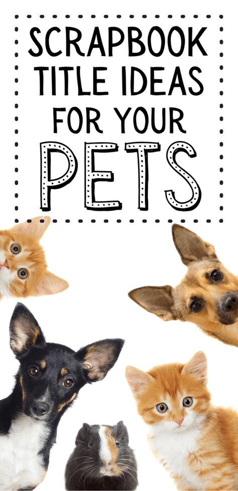 Are you looking for inspiration for pet-themed scrapbook pages? Here are over 215 ideas for what to title your pet pages. Pet Scrapbook Layouts Cute Ideas, Pet Scrapbook Layouts Cats, New Puppy Scrapbook Layouts, Scrapbooking Dogs Ideas, Scrapbook Dog Ideas, Scrapbook Ideas For Dogs, Animal Scrapbook Ideas, Cat Scrapbook Pages, Dog Scrapbook Pages