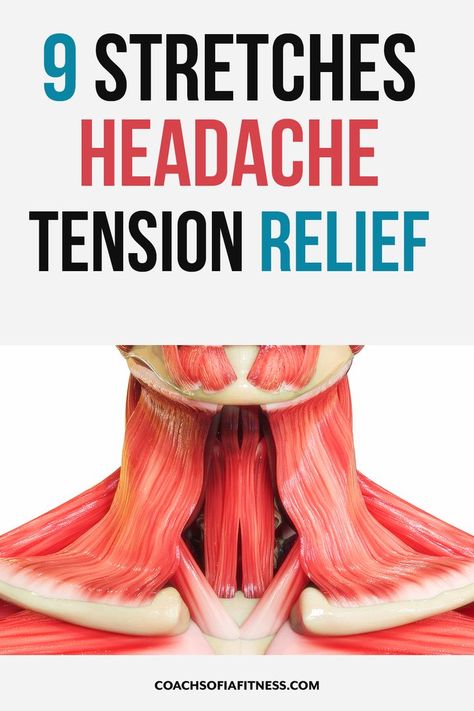 Stretches For Upper Back Pain, Stretches For Upper Back, Neck Headache, Tension Headache Relief, Relieve Tension Headache, Forward Head Posture Exercises, Shoulder Stretches, Neck And Shoulder Muscles, Shoulder Tension