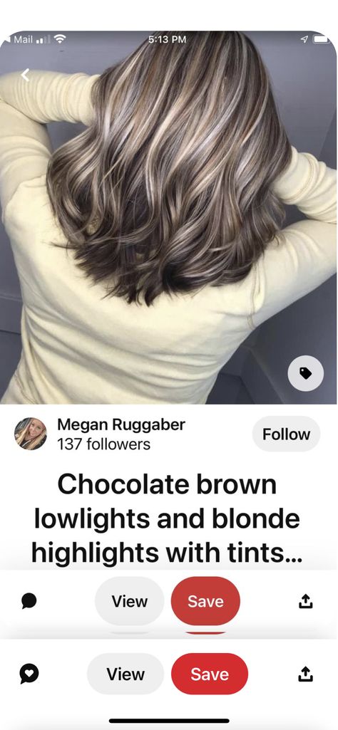 High And Low Lights Hair Brown, High And Low Lights Hair, Low Light Hair Color, Grey Hair And Makeup, Blond Highlights, High And Low Lights, Hair Highlights And Lowlights, Grey Hair Inspiration, Layered Bob Haircuts