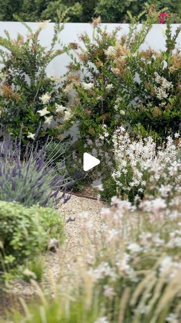 Garden Studio | Southern California Landscape Design on Instagram: "June gloom 🤝🏽 full bloom  This tranquil courtyard garden is putting on a spectacular show, thanks to the morning cloud cover typical of Southern California this time of year. The plants thrive in the respite from the afternoon heat, allowing their blooms to flourish!  Now if only Instagram had a scratch & sniff feature…🌸🌼🪻  Floral beauty, garden inspiration, Southern California landscape design, California gardens, courtyard design, limestone water feature #southerncalifornialandscapedesign #californialandscapedesign #landscapedesign #LandscapeArchitecture #homerenovation #exteriordesign" Florida Native Landscape Design, California Landscaping Backyard, California Backyard Landscaping, California Front Yard Landscaping Ideas, Southern California Landscaping, California Landscape Design, California Landscaping, California Lilac, June Gloom