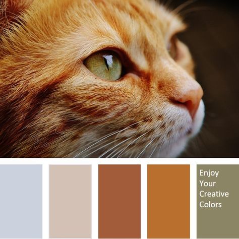 Color Palette #0102 Are you Looking for inspiration for a color combination? For your next project , for you. See it and enjoy your creative colors. Cat Portrait Painting, Yarn Color Combinations, Stile Boho Chic, Colour Pallets, Super Cute Cats, Color Plan, Art Elements, Color Schemes Colour Palettes, Palette Inspiration