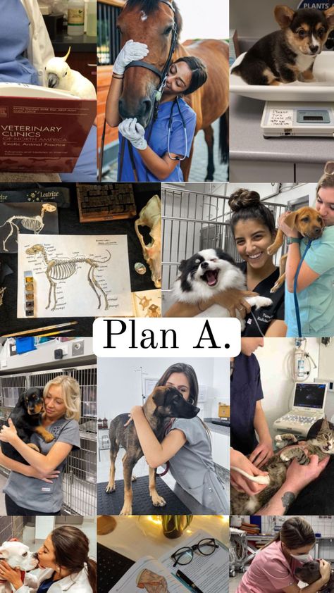 Vet Pictures, Vet School Motivation, Vet Doctor, Vet Tech School, Vet Tech Student, Job Motivation, Vet Life, Veterinary School, Veterinary Science