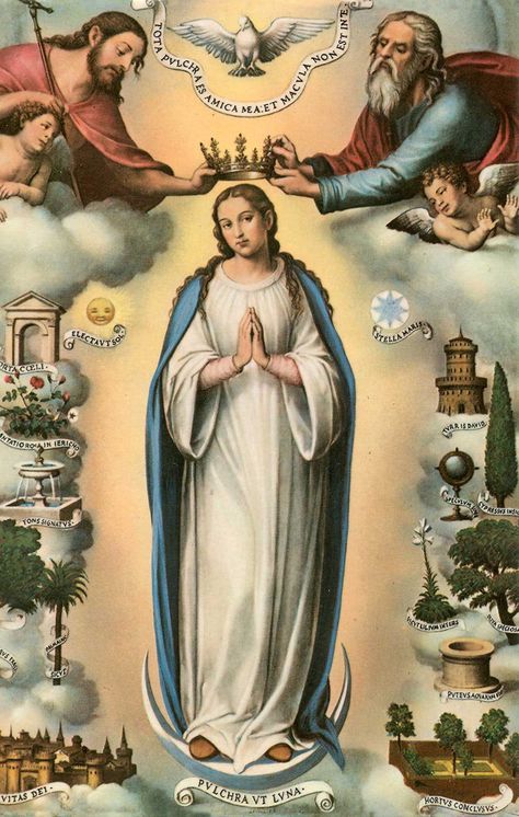 Traditional † Catholicism: Queenship of Mary Immaculate Mary, Blessed Mary, Images Of Mary, Religious Pictures, Mama Mary, Queen Of Heaven, Blessed Mother Mary, The Virgin Mary, Religious Images