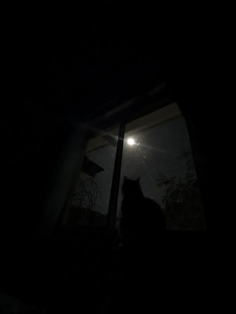 #cat #window #night #starrynight #moon #pinterest Black Cat Looking Out Window, Cat And Moon Aesthetic, Moon Window Night, Cat Night Aesthetic, Cat Dark Aesthetic, Cats In The Dark, Pfp Night, Cats At Night, Grey Cat Wallpaper