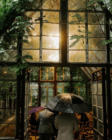 some photos from yesterday’s rainy downtown ATX wedding 🖤 I love how classy & elegant everything was! Haley & Jose, you guys are the sweetest & im so happy that you now have the rest of your lives to look forward to together!! I’m so excited about how they embraced the rain that came yesterday & it made the ceremony feel so romantic! The sound of the rain pattering on the glass of the @sekrittheater free house was the perfect background as they said their vows. Will share more soon, but in th... Rain Wedding Aesthetic, Rainy Garden Wedding, Rainy Wedding Aesthetic, Wedding In The Rain, Rainy Wedding Photography, Rainy Day Wedding Photos, Rain Wedding, Rainy Wedding, Home Free