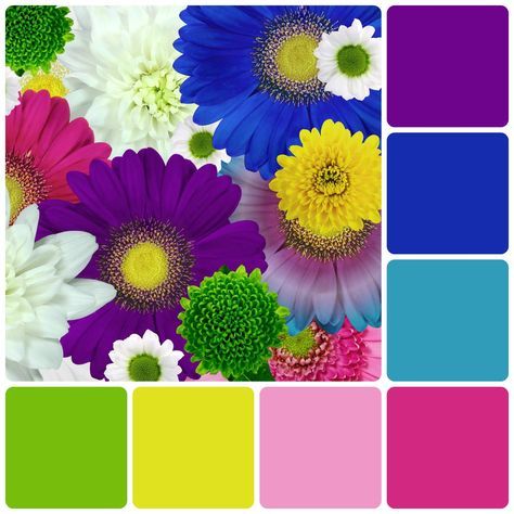 Color Palette From Image, Paint Color Combos, Color Cube, Yarn Color Combinations, Color Design Inspiration, Paint Color Inspiration, Color Palette Challenge, Color Palette Yellow, Stunning Hairstyles