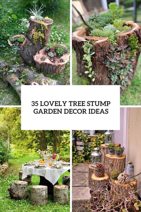 Picture of lovely tree stump garden decor ideas Garden Ideas With Tree Stumps, Tree Stump Garden, Tree Stumps Diy, Stump Garden, Tree Stump Ideas, Tree Stump Decor, Stump Ideas, Tree Stump Planter, Green Adventure