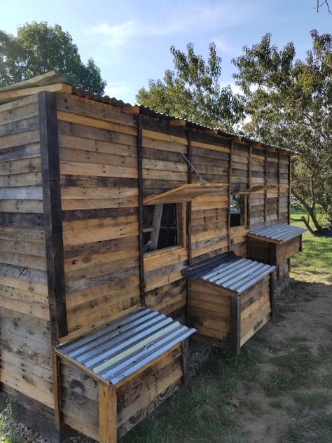 Chicken coop made out of pallets. Chicken Coop From Pallets Diy, Chicken Coop Ideas With Pallets, Chicken Coops Pallets, Chicken Coop Designs Diy Pallets, Pallet Chicken Coop Ideas, Chicken Coop For 50 Chickens Ideas, Chicken Coop Made Out Of Pallets, Diy Chicken Coop Pallets, Pallet Coop Chicken