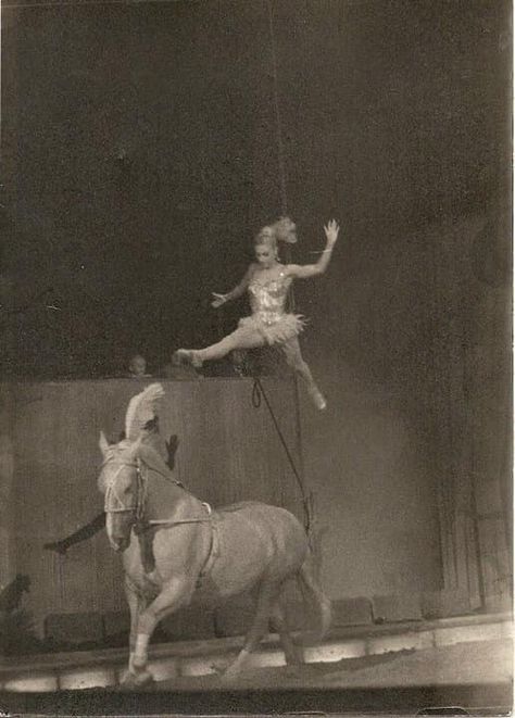 Horse Race Aesthetic Vintage, Circus Acrobat Aesthetic, Circus Horse Rider, Vintage Circus Performers, Circus Pictures, Circus Horse, Circus Acrobat, Trick Riding, Dance Photography Poses