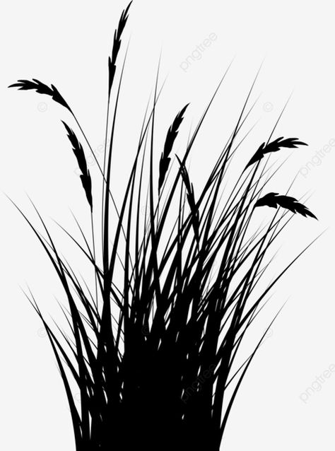 reeds grass silhouette Alight Motion Effect, Grass Sketch, Drawing Silhouette, Grass Clipart, Grass Silhouette, Grass Drawing, Motion Effect, Grass Art, Fountain Grass