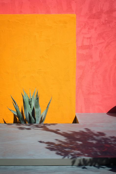 Mexican Garden, Mexican Colors, Mexican Paintings, Green Living Room, Living Room Wall Decoration, Mexican Wall, Mexican Flowers, Mexico Art, Food Graphic Design