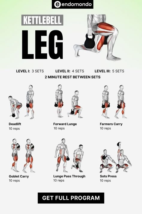 Discover the ultimate leg workout that you can do at home or in the gym using kettlebells. This comprehensive guide offers effective exercises for a strong, toned lower body. Perfect for anyone looking to enhance their leg workout routine. Start today! Forward Lunges Exercise, Lower Body Workout Kettlebell, Leg Workout With Kettlebell, Kettlebell Legs Workout, Kettlebell Leg Exercises, Acft Workouts, Darebee Leg Workout, Kettlebell Lower Body Workout, Lower Body Kettlebell Workout