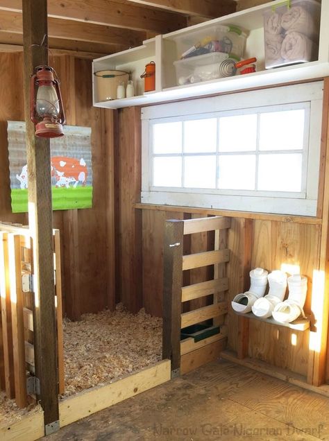 I just love this photo... The shelf overhead, the PVC mineral feeders, The woodchip bedding, the Window...... ~A Goat Playground, Feed Room, Goat Shed, Goat Shelter, Goat Pen, Barn Stalls, Goat House, Goat Barn, Goat Care