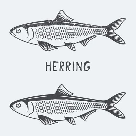 Herring Tattoo, Haring Tattoo, Herring Fish, Fishing Logo, Ink Logo, Fish Graphic, Drawing Animals, Tiny Tattoo, Summer Illustration