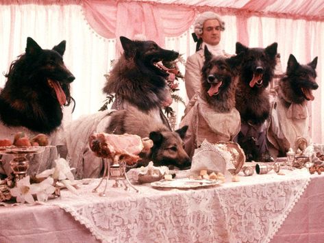 Seven great alternative fairy tale movies The Company Of Wolves, Angela Carter, She Wolf, Hans Christian, Little Red Riding Hood, Aboriginal Art, Film Stills, Red Riding Hood, Horror Films