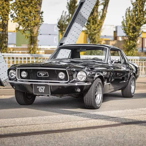 1967 Mustang Coupe, Fort Mustang, 240z Datsun, Mustang 67, Mustang 1967, Mustang Classic, 1967 Mustang, Old Muscle Cars, Ford Mustang Coupe