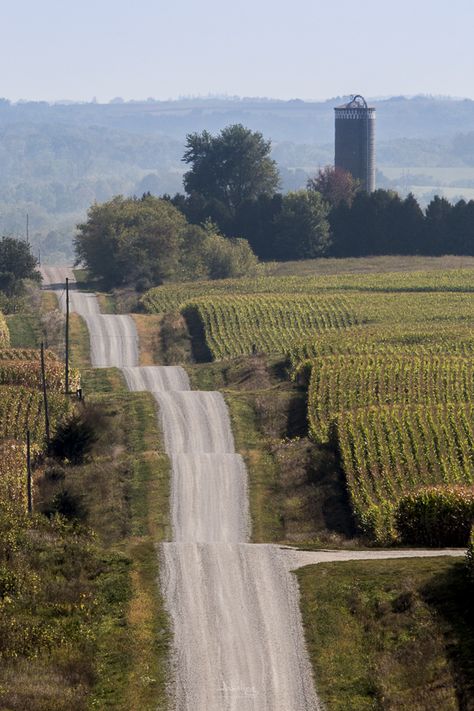 Roller Coaster Road is in Northeast Iowa's Allamakee County (Yes, it's actually named that!). Visit https://www.traveliowa.com/getinspireddetails/24-uniquely-iowa-attractions/85/ for more info on this Uniquely Iowa Attraction and 23 others! #thisisiowa #roadtrip #adventure #unique #iowa #attractions Iowa Road Trip, Iowa Travel, Harpers Ferry, States In America, Dirt Road, Off The Beaten Path, Roller Coaster, Hidden Gems, Travel Usa