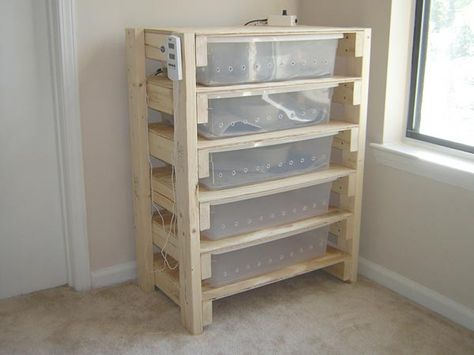 Snake Rack, Reptile Rack, Egg Organizer, Terrariums Diy, Snake Cages, Diy Reptile, Diy Snake, Snake Enclosure, Reptile Room