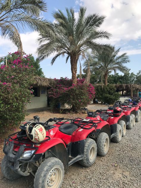 Quad Riding Aesthetic, Quadbikes Aesthetic, Four Wheeling Aesthetic, 4wheeler Aesthetic, Quad Biking Aesthetic, Quad Bike Aesthetic, Quad Aesthetic, Adrenaline Aesthetic, Palm Aesthetic