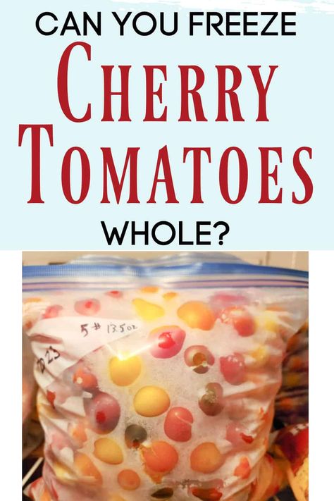 Frozen Cherry Tomatoes Recipes, Pickled Green Cherry Tomatoes Recipe, Freezing Cherry Tomatoes, Freezing Food Guide, Root Cellars, Black Cherry Tomato, Freezing Tomatoes, Cherry Tomato Plant, Freezing Vegetables