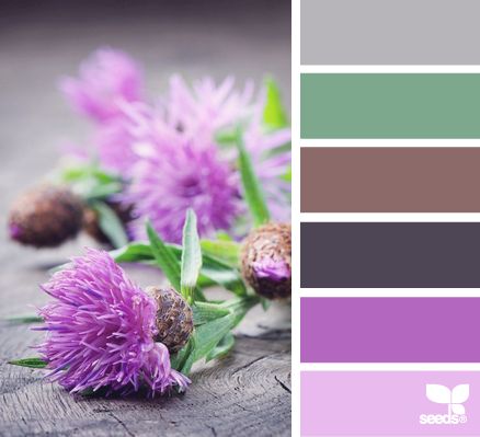 thistle tones Seeds Color, Color Palate, Design Seeds, Color Palette Design, Color Stories, World Of Color, Color Samples, Colour Schemes, Color Pallets