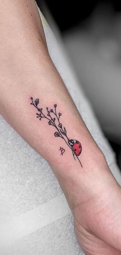 Dainty Tattoo Fillers, Ladybug Rose Tattoo, Mechanical Flower Tattoo, Ladybug Floral Tattoo, Rose And Ladybug Tattoo, Ladybug Dandelion Tattoo, Daisy Ladybug Tattoo, Cartoon Ladybug Tattoo, Ladybug Tattoo Meaning