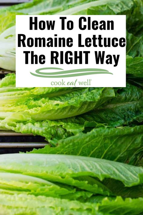 Lettuce Side Dishes, Salad Recipes Romaine Lettuce, How To Clean Romaine Lettuce, Storing Romaine Lettuce In Fridge, How To Wash Lettuce, Recipes Using Romaine Lettuce, How To Wash Romaine Lettuce, How To Cut Romaine Lettuce For Salad, How To Clean Lettuce