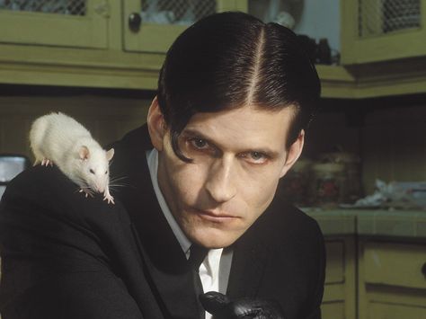 Willard 2003, Willard Movie, Rat Movie, Crispin Glover, Rattus Rattus, Horror Fanatic, Kill Bill, Mad Scientist, The Thing Is