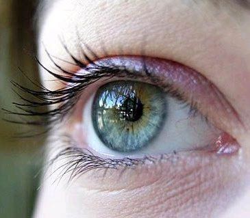 Greenish Blue Eyes, Eyes Inspiration, Eyes Painting, Eye Facts, Eye Photo, Photos Of Eyes, Eyes Blue, Blue Ring, Eye Painting