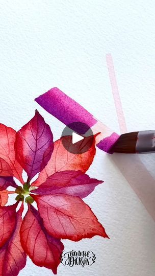 Christmas Watercolor Ideas Xmas Cards, Watercolor Christmas Cards Diy, Loose Florals, Watercolor Videos, Poinsettia Cards, Water Paint, Paint Flowers, Watercolor Video, Color Pallete