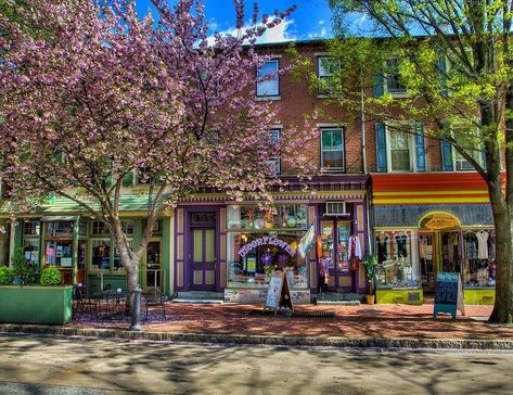 From mini golf to hiking to a huge selection of bars, West Chester will surely keep you entertained. Check out these 24 things to do in West Chester. College Magazine, West Chester, Mini Golf, Chester, Travel Usa, Day Trips, Dream Life, Pennsylvania, Things To Do