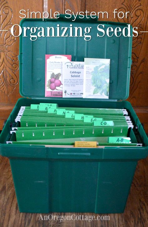 Super simple seed storage and organization using things you can easily get or already have. Keep your vegetable and flower packets viable longer and easily accessible whenever you need them. Includes how to use a page in our free garden notebook, ideas of what seeds to grow and how to make the storage system. #seeds #gardening Seed Storage Ideas, Seed Organization, Organize Seeds, Garden Notebook, Seed Storage, Winter Gardening, Babymoon Photos, Garden Site, Pole Beans