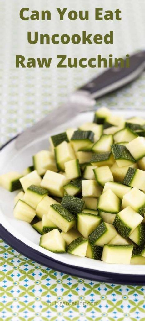 If you are wondering, can you eat uncooked raw zucchini or include them in your recipes, this article will provide you with the pros and cons. Zucchini is also known as courgette. It is a summer squash in the Cucurbitaceae plant kingdom. Zucchini can grow to more than 3.2 feet but sweeter when harvested early and immature.... Zucchini Raw Recipes, Raw Zucchini Recipes, Zucchini Benefits, Canned Zucchini, Zucchini Dip, Zucchini Health Benefits, Spiced Zucchini, Raw Zucchini, Yellow Zucchini