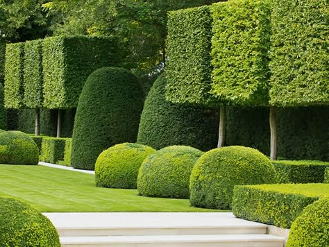 Plant Balcony, Formal Garden Design, Boxwood Garden, Urban Garden Design, Garden Hedges, Topiary Garden, Classic Garden, Garden Maintenance, Formal Gardens