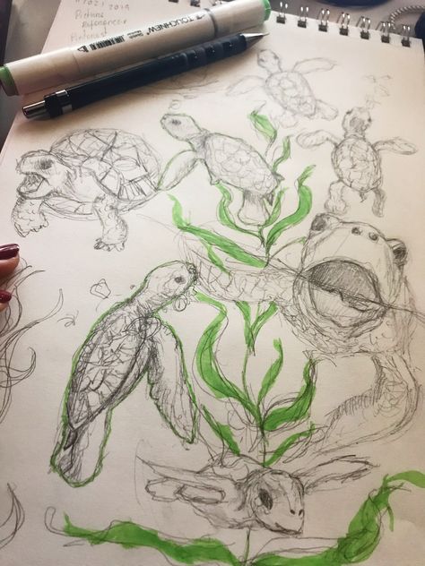 Turtles Pictures, Turtle Sketch, Piskel Art, Turtle Drawing, Cute Turtles, Art Diary, Arte Sketchbook, Arte Inspo, Cute Doodle Art