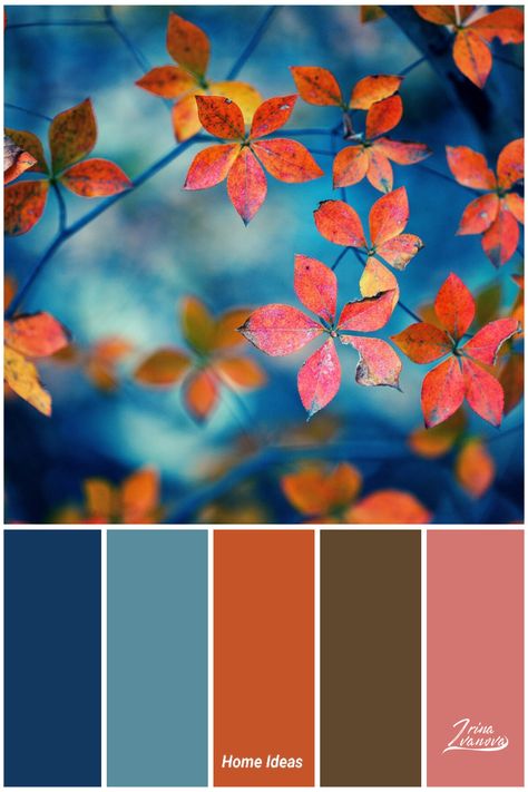 Colourways Colour Palettes, Pink Green Blue Color Palette, Pink Orange Blue Color Palette, Kitchens Wallpaper, Blue Orange Color Palette, Color Palettes Aesthetic, Thanksgiving Color Palette, Houses Bathroom, Cabinet Color Combinations